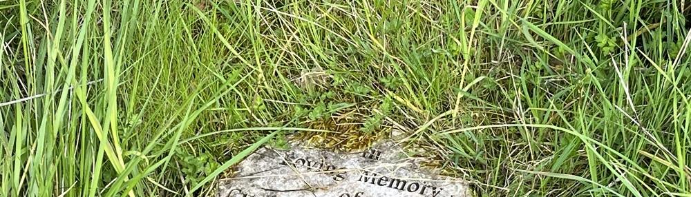 A light coloured memorial stone laying in long grass.