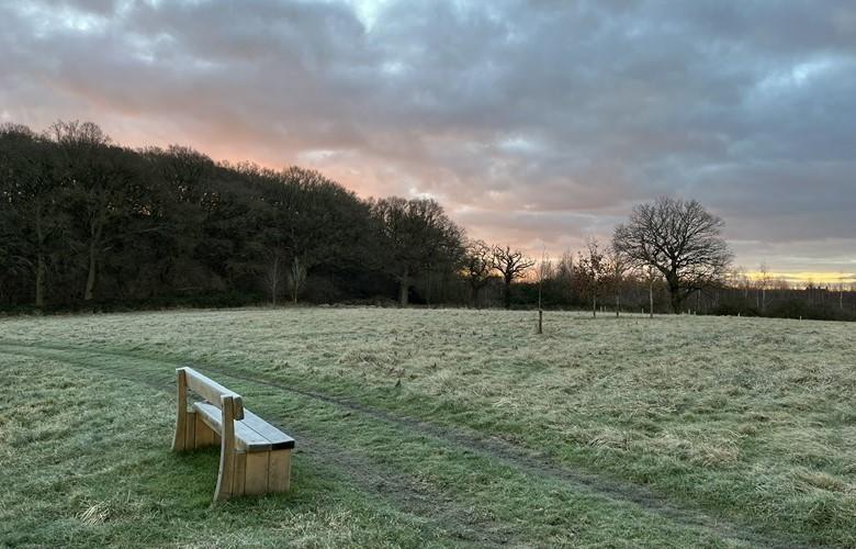 Bench in foreground with field of grass with sunrise behind trees on the horizon. 