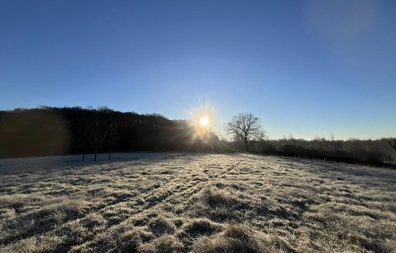 Sunrise over a frosty field