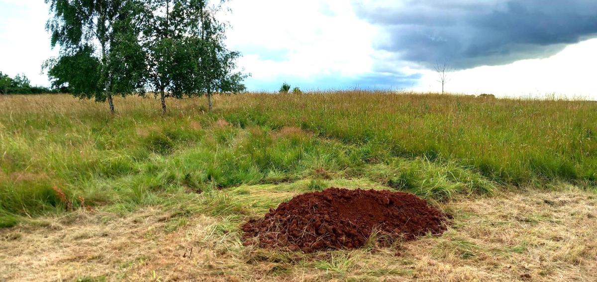 Grave site on natural burial ground. 