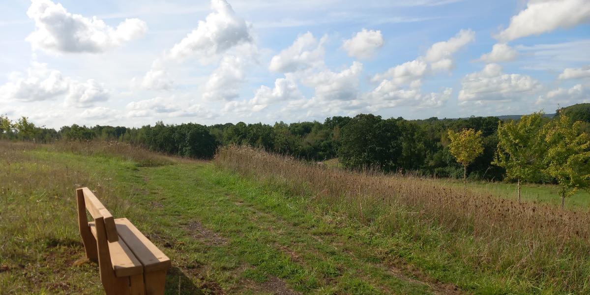 Bench and view looking South