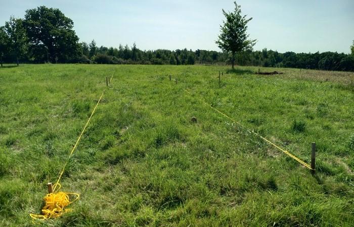 Marking plots with yellow rope on a natural burial ground