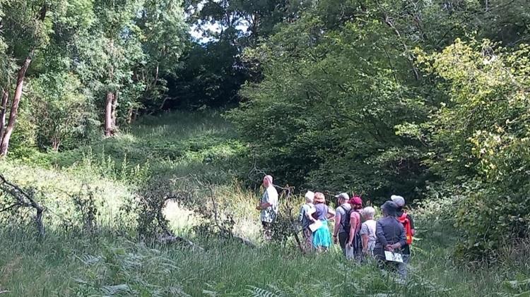 Group of people in woodland clearing observing butterflies