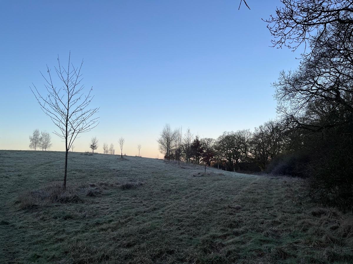 Winter scene at Alne Wood Park burial ground