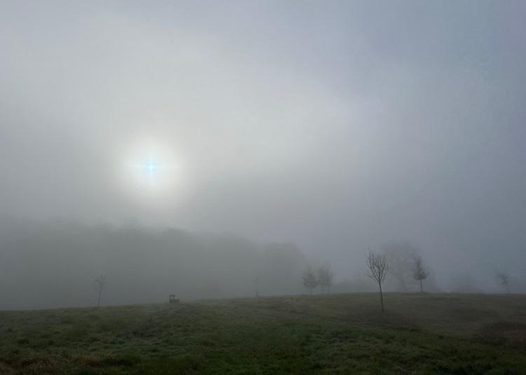 Sun through mist on March morning over meadow