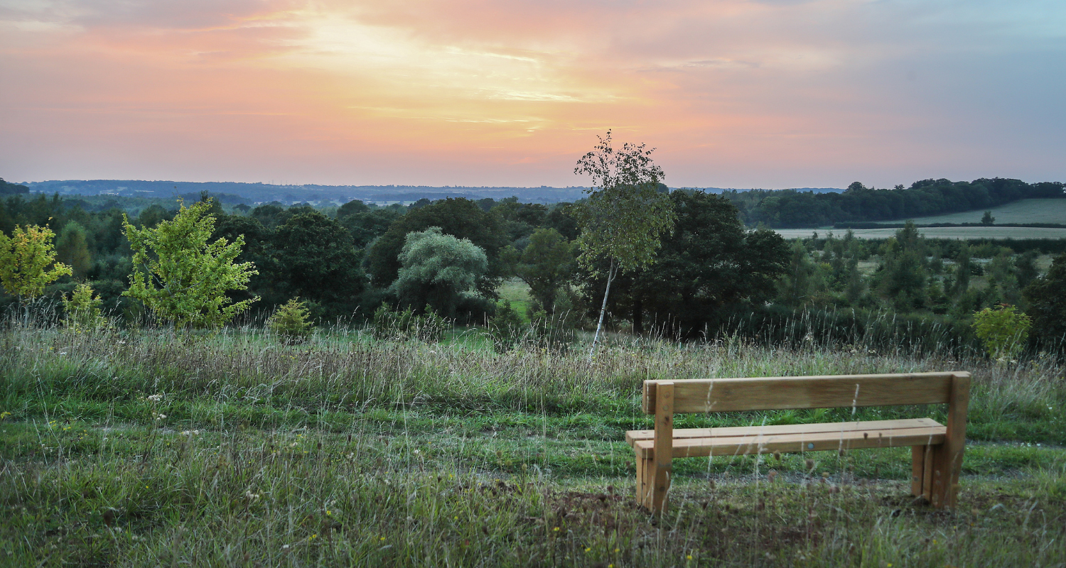 A view from the top of the hill at Alne Wood Park overlooking the burial ground and mature woodland. There's a bench in the bottom right corner offering a place for reflection.