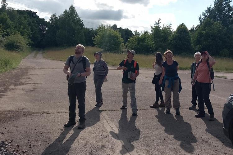 Group of people stood in car park looking up to observe butterflies