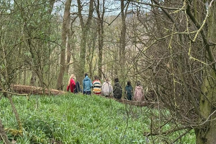 Image of woodland with Birmingham University students sat on logs