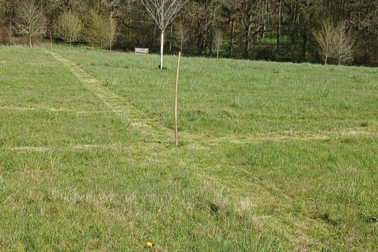 Picture of pathways mowed into the grass at Alne Wood Park