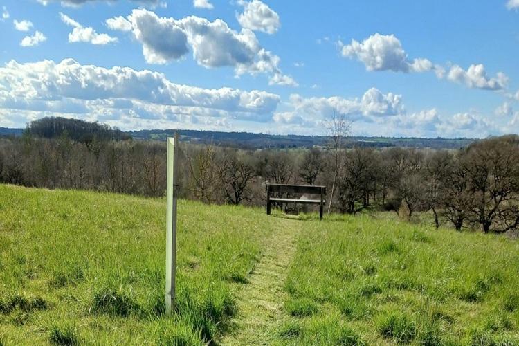 View across Alne Wood Park with grass pathway in the foreground