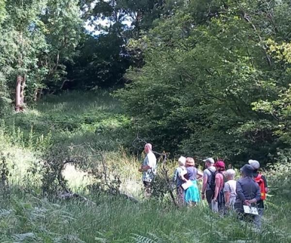 Group of people in woodland clearing observing butterflies