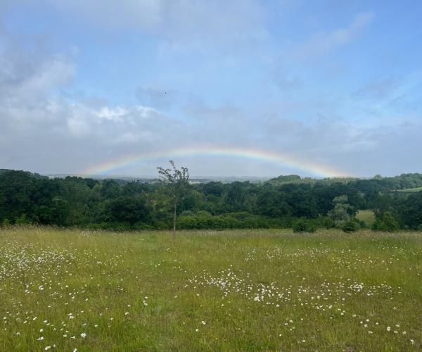 Landscape view at Alne Wood Park with rainbow in background