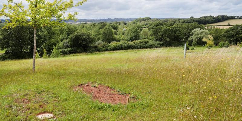 Natural Burial Grave Site